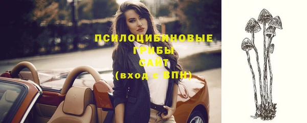 винт Абаза