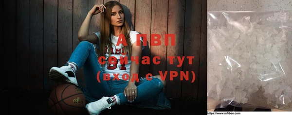 винт Абаза
